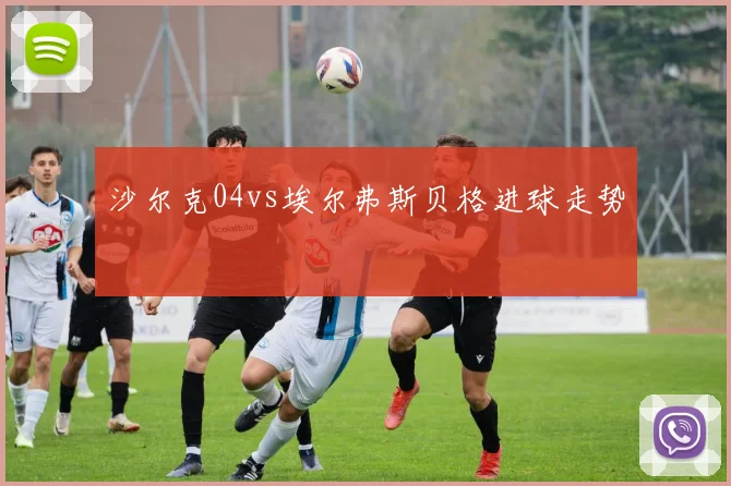 沙尔克04vs埃尔弗斯贝格进球走势