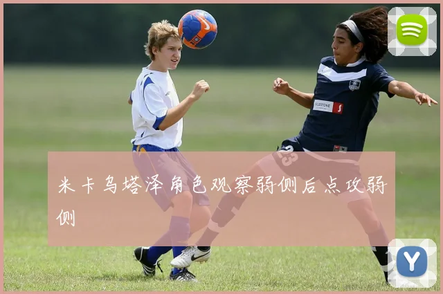 米卡乌塔泽角色观察弱侧后点攻弱侧