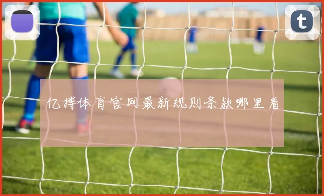 亿搏体育官网最新规则条款哪里看