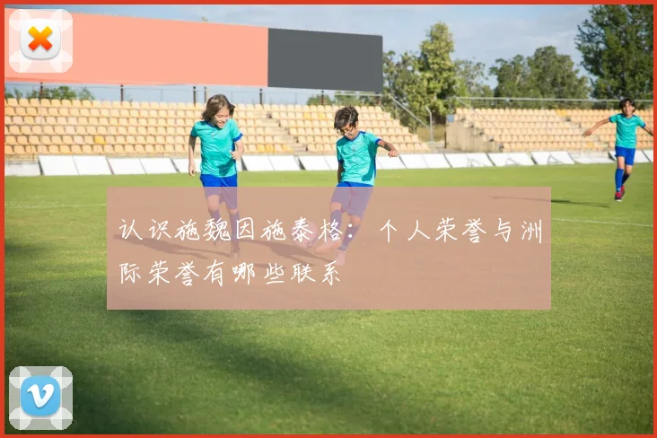 认识施魏因施泰格:个人荣誉与洲际荣誉有哪些联系
